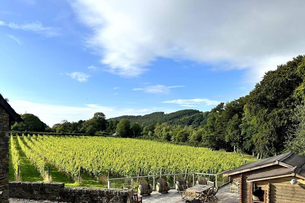 Vineyard Country Cottage Llanerch-Aeron Exteriör bild